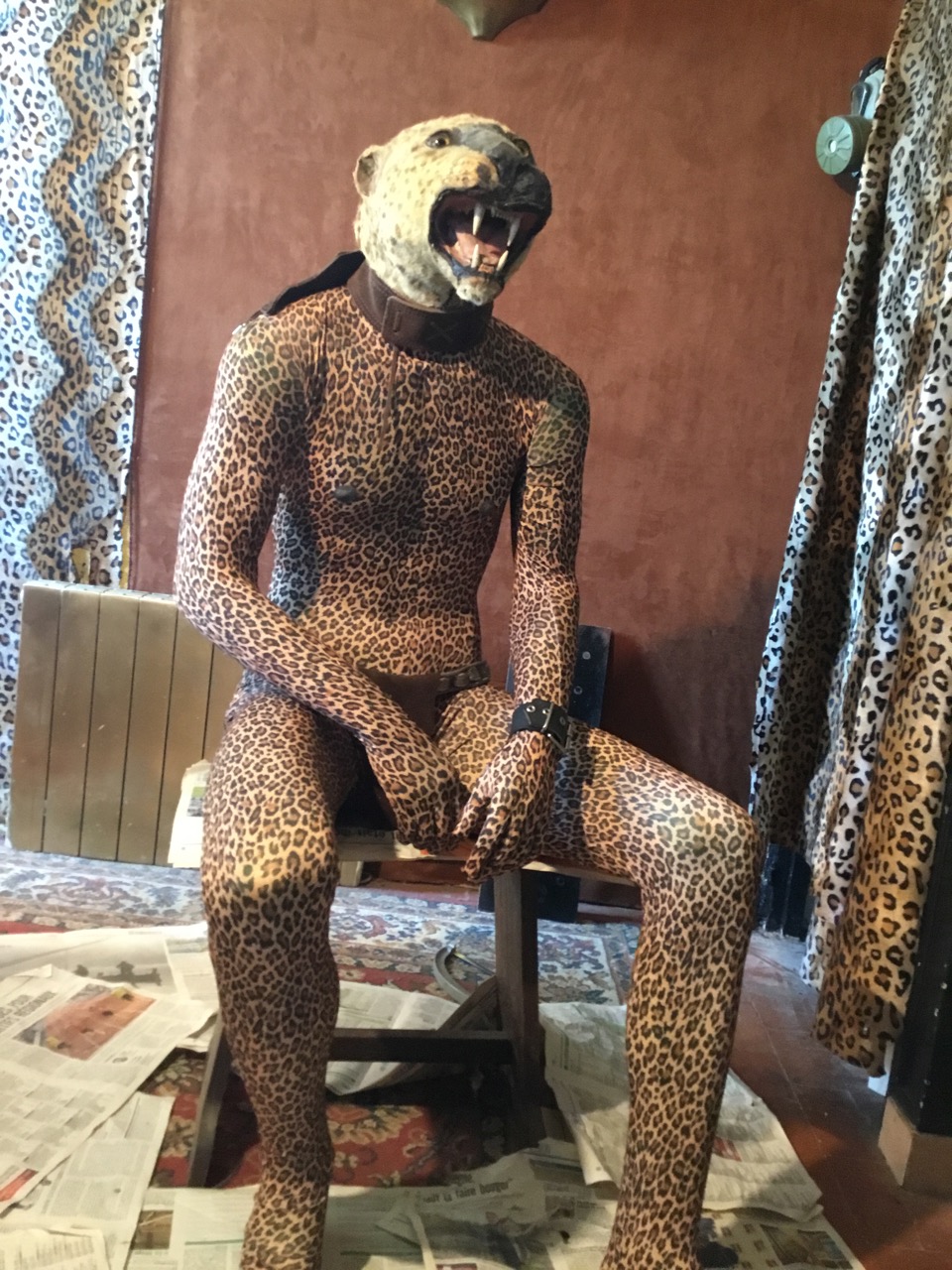 Leopard