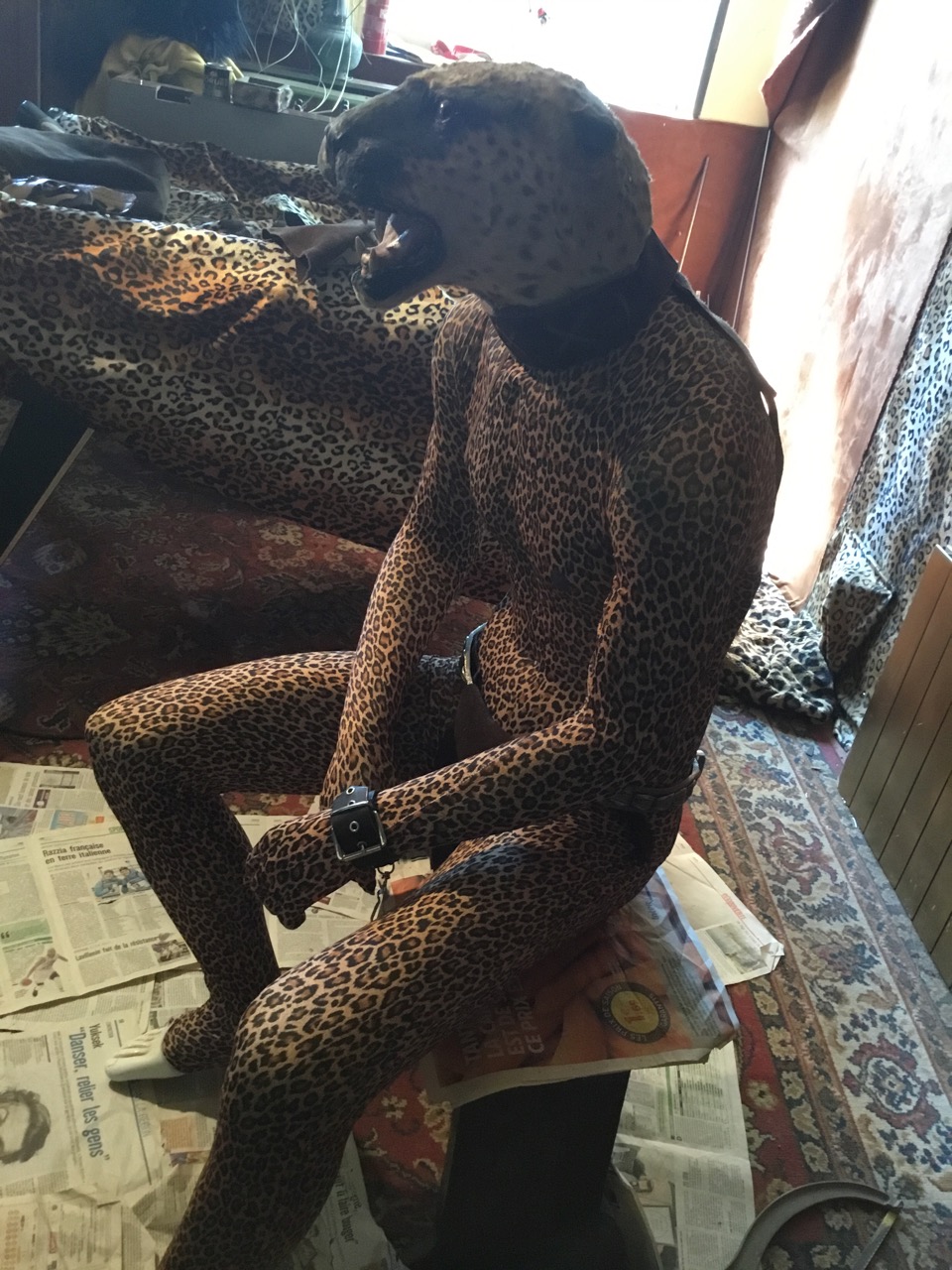 Leopard